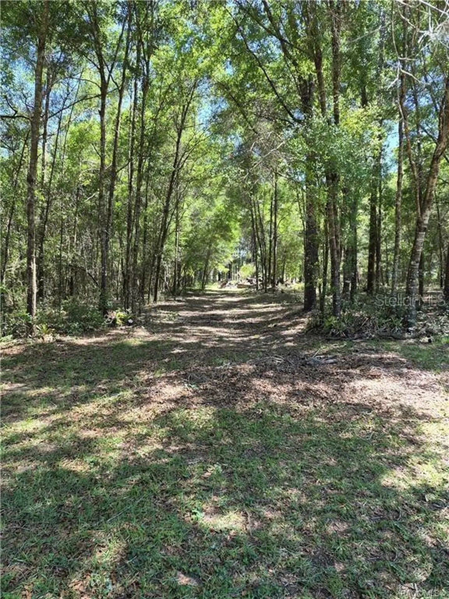 27170 Townsend Boulevard Brooksville FL 34601