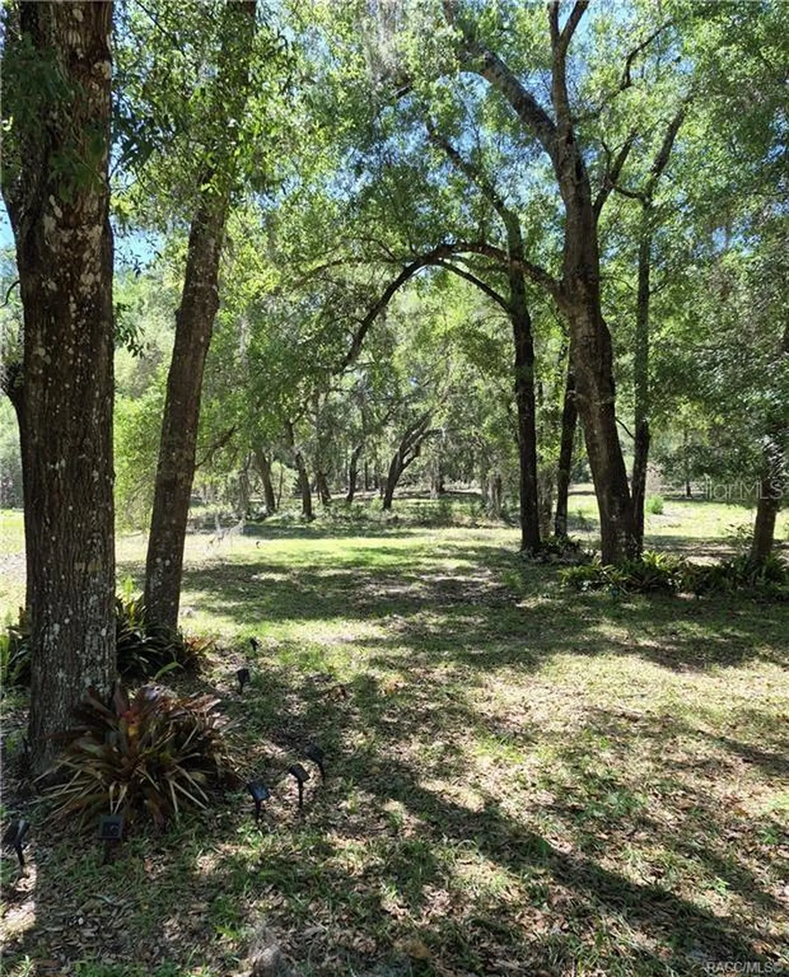 27170 Townsend Boulevard Brooksville FL 34601