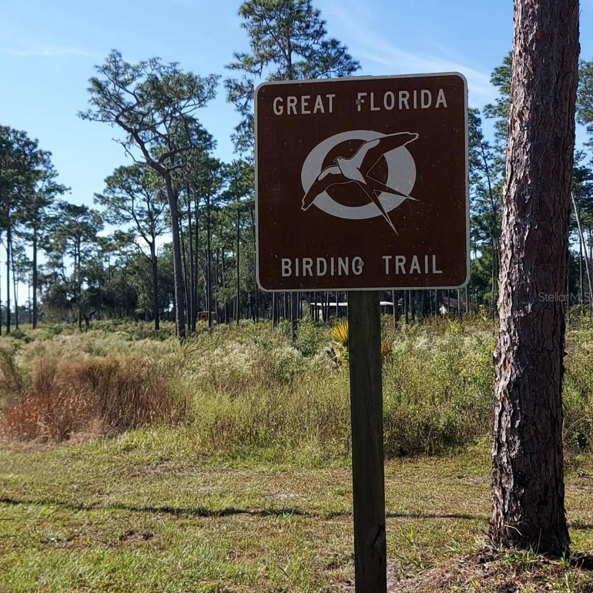 27170 Townsend Boulevard Brooksville FL 34601