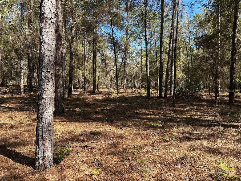Lot 23 SW 181st Circle Dunnellon FL 34432
