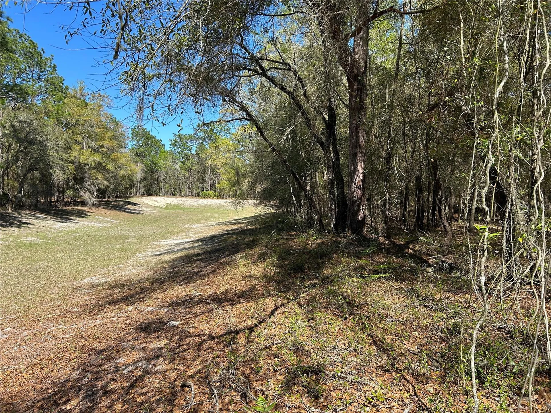 Lot 23 SW 181st Circle Dunnellon FL 34432