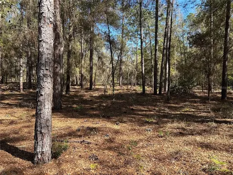 Lot 23 SW 181st Circle Dunnellon FL 34432
