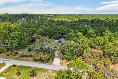 3783 W Birds Nest Drive Beverly Hills FL 34465