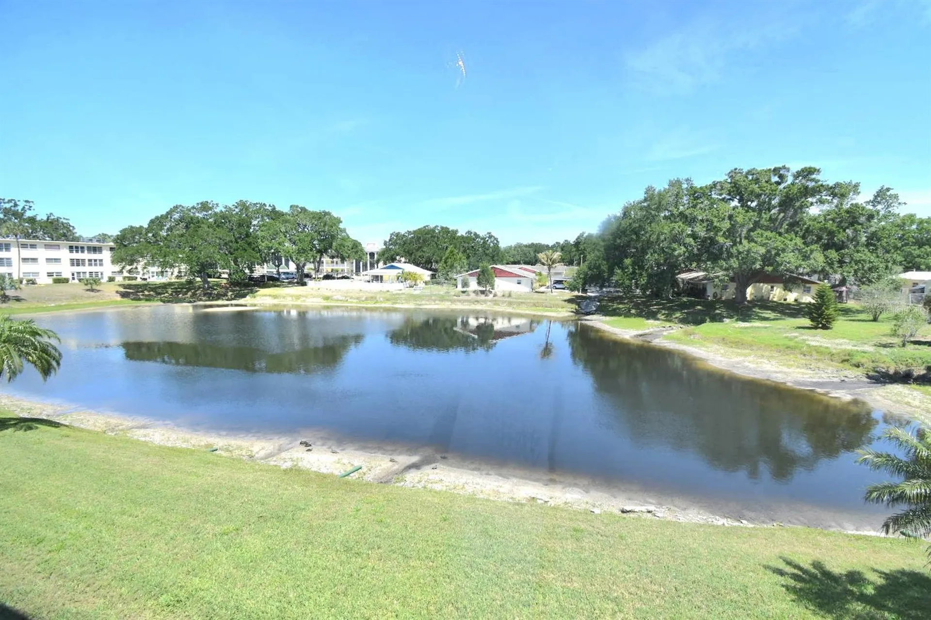 936 Virginia Street Dunedin FL 34698