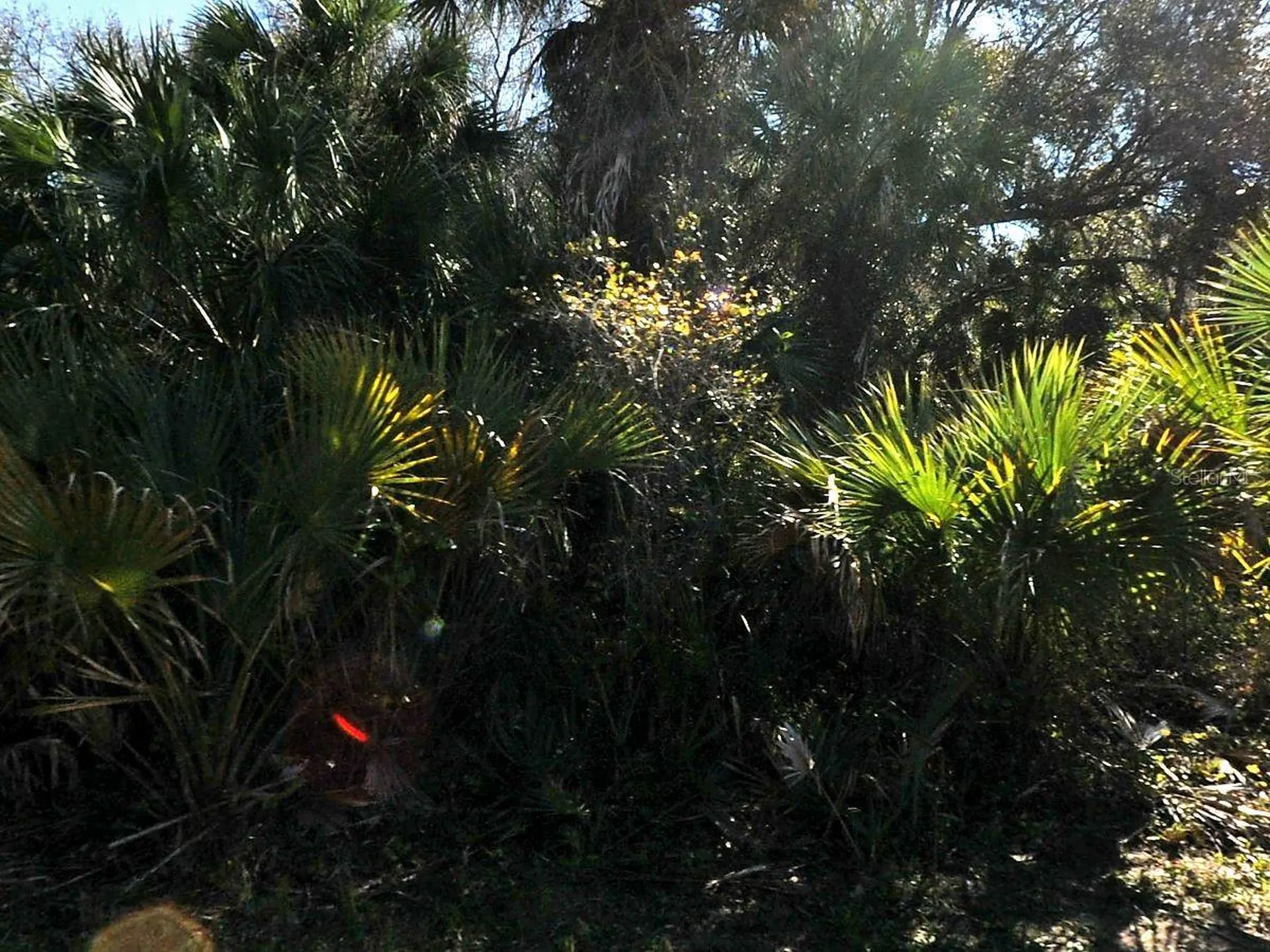 Lakeport Street North Port FL 34288