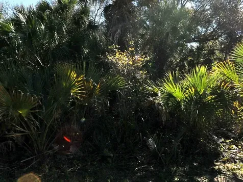 Lakeport Street North Port FL 34288