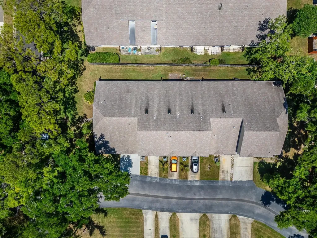 658 Green Valley Road Palm Harbor FL 34683