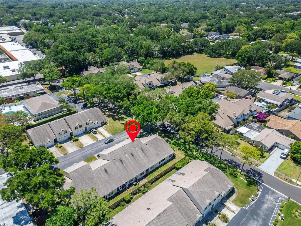 658 Green Valley Road Palm Harbor FL 34683