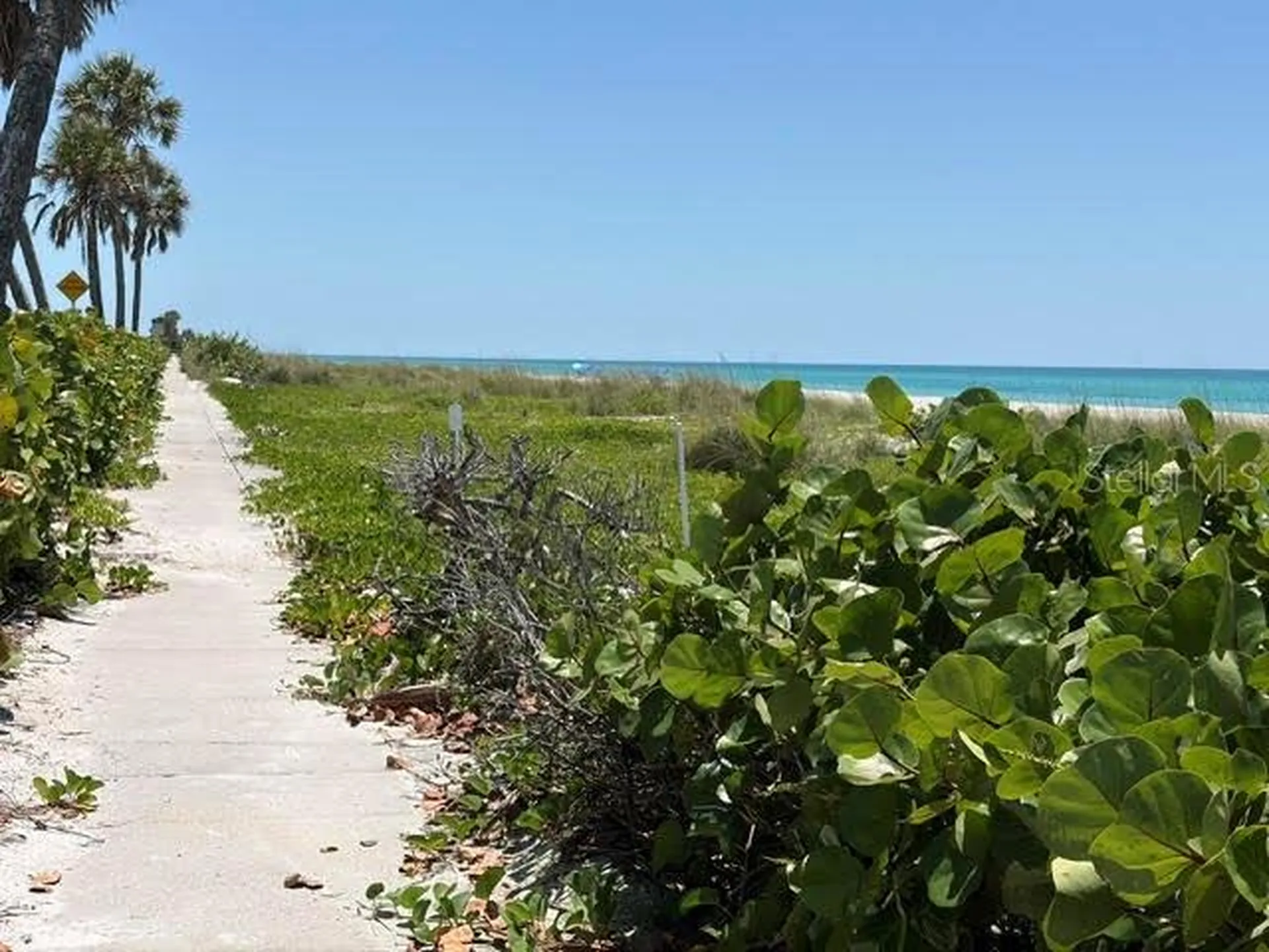 581 Rountree Drive Longboat Key FL 34228