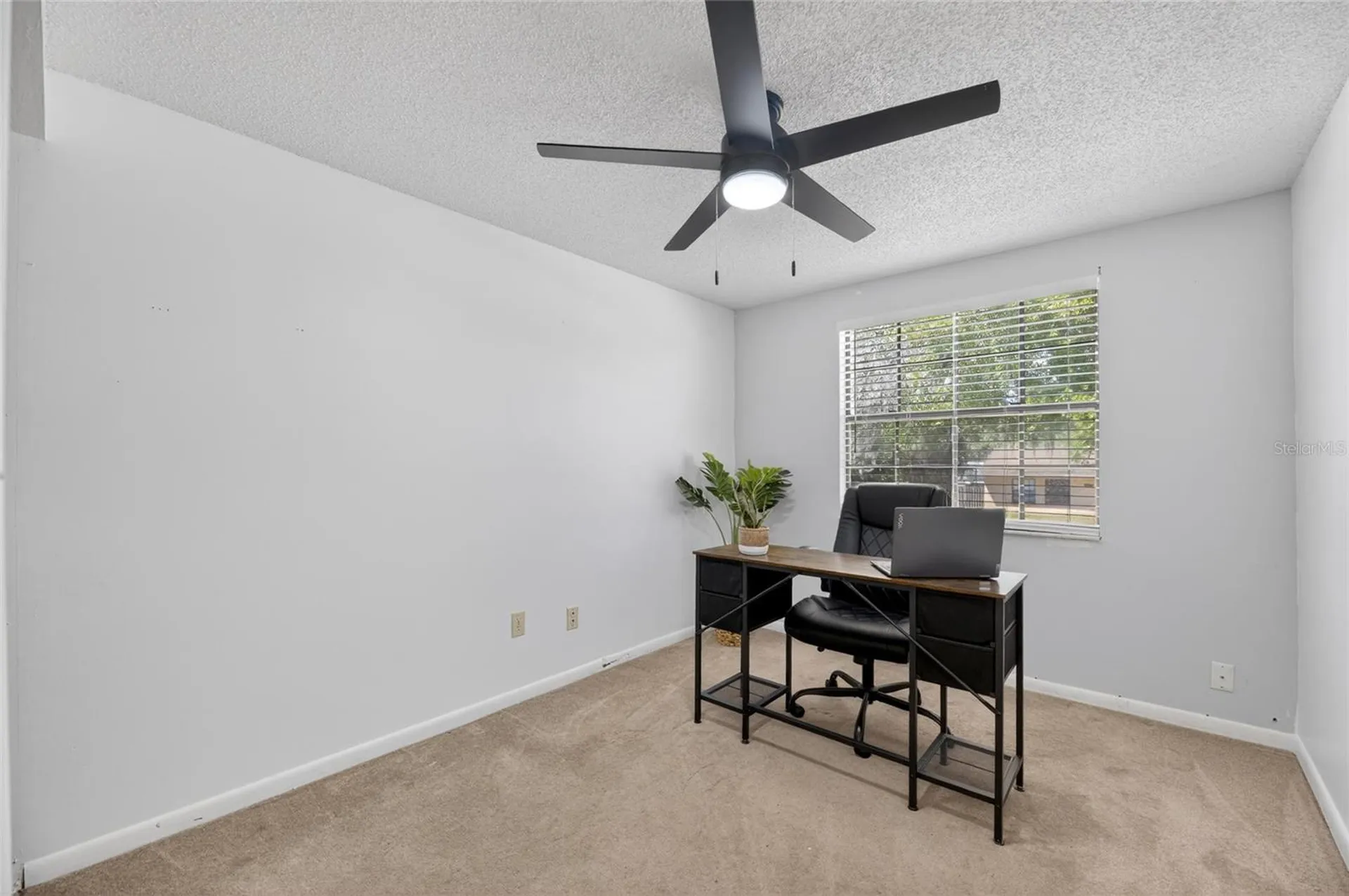 6609 Jennifer Drive Temple Terrace FL 33617