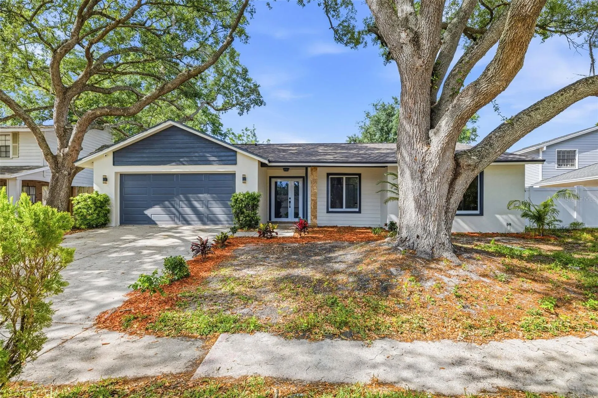 12929 Rain Forest Street Temple Terrace FL 33617