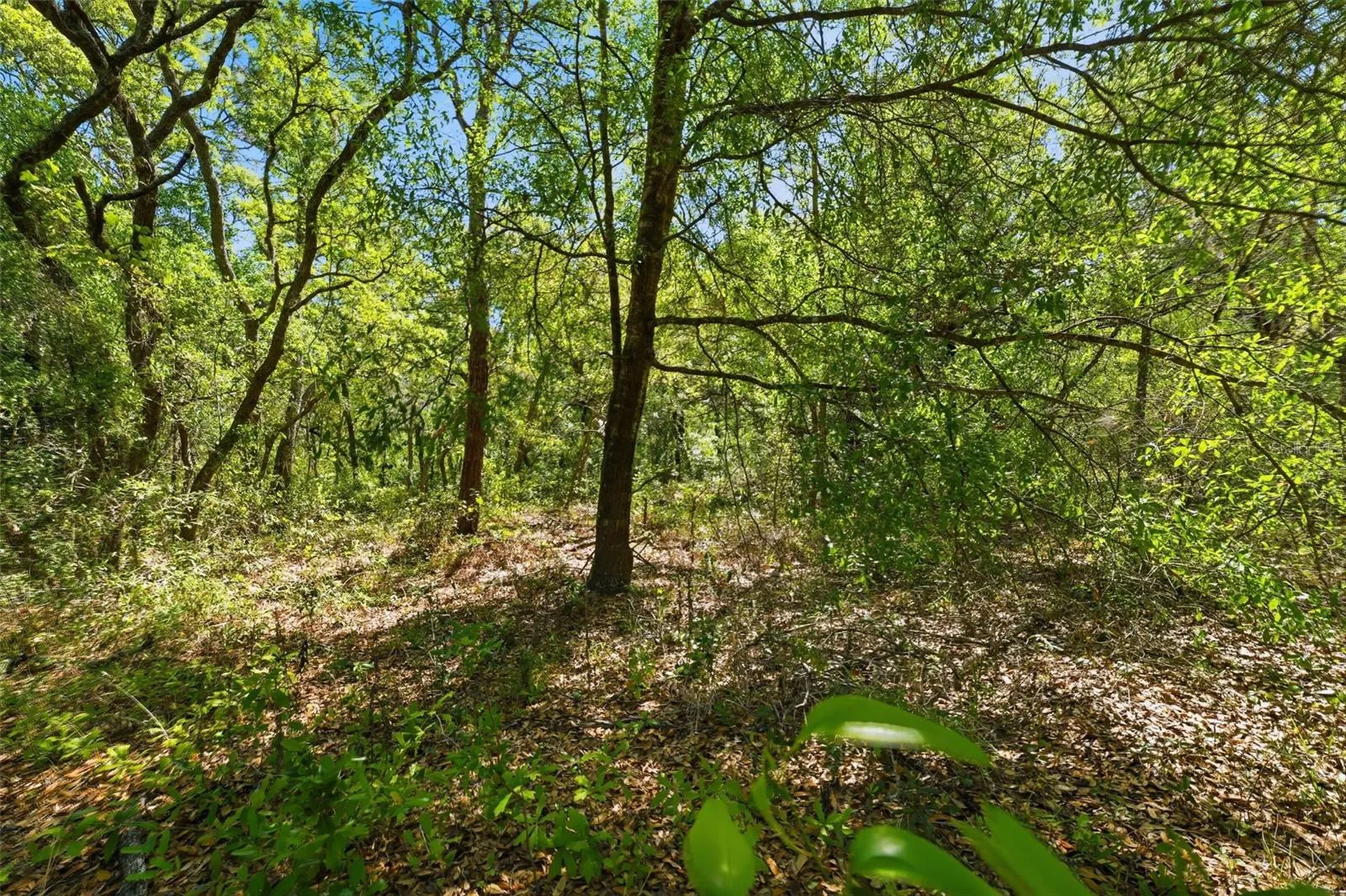 0 Coyote Road Hudson FL 34669