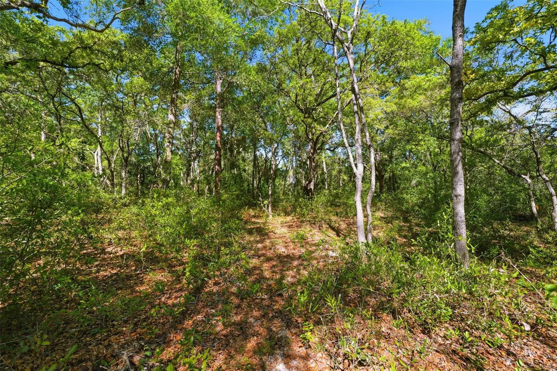 0 Coyote Road Hudson FL 34669
