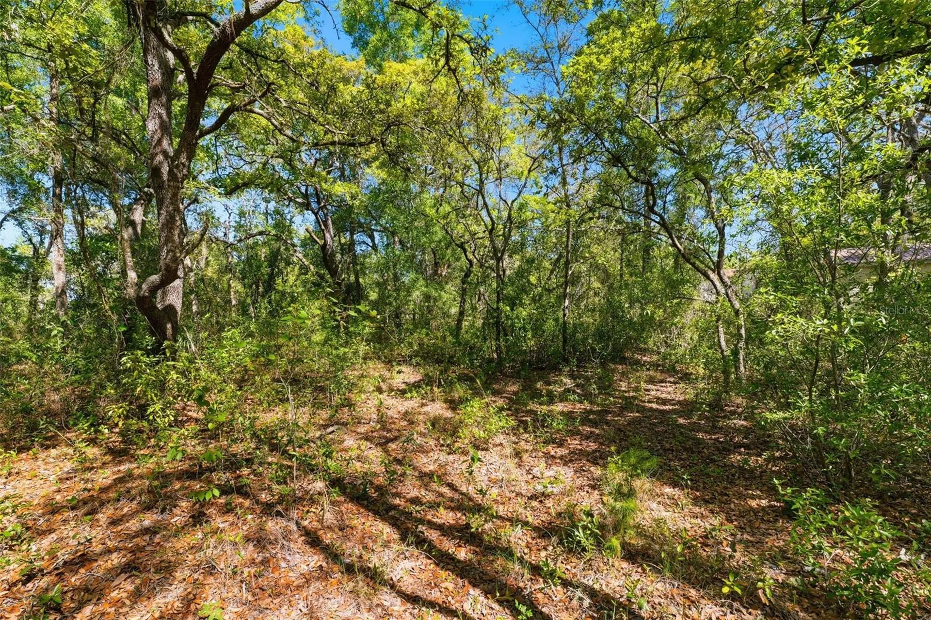 0 Coyote Road Hudson FL 34669