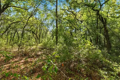 0 Coyote Road Hudson FL 34669