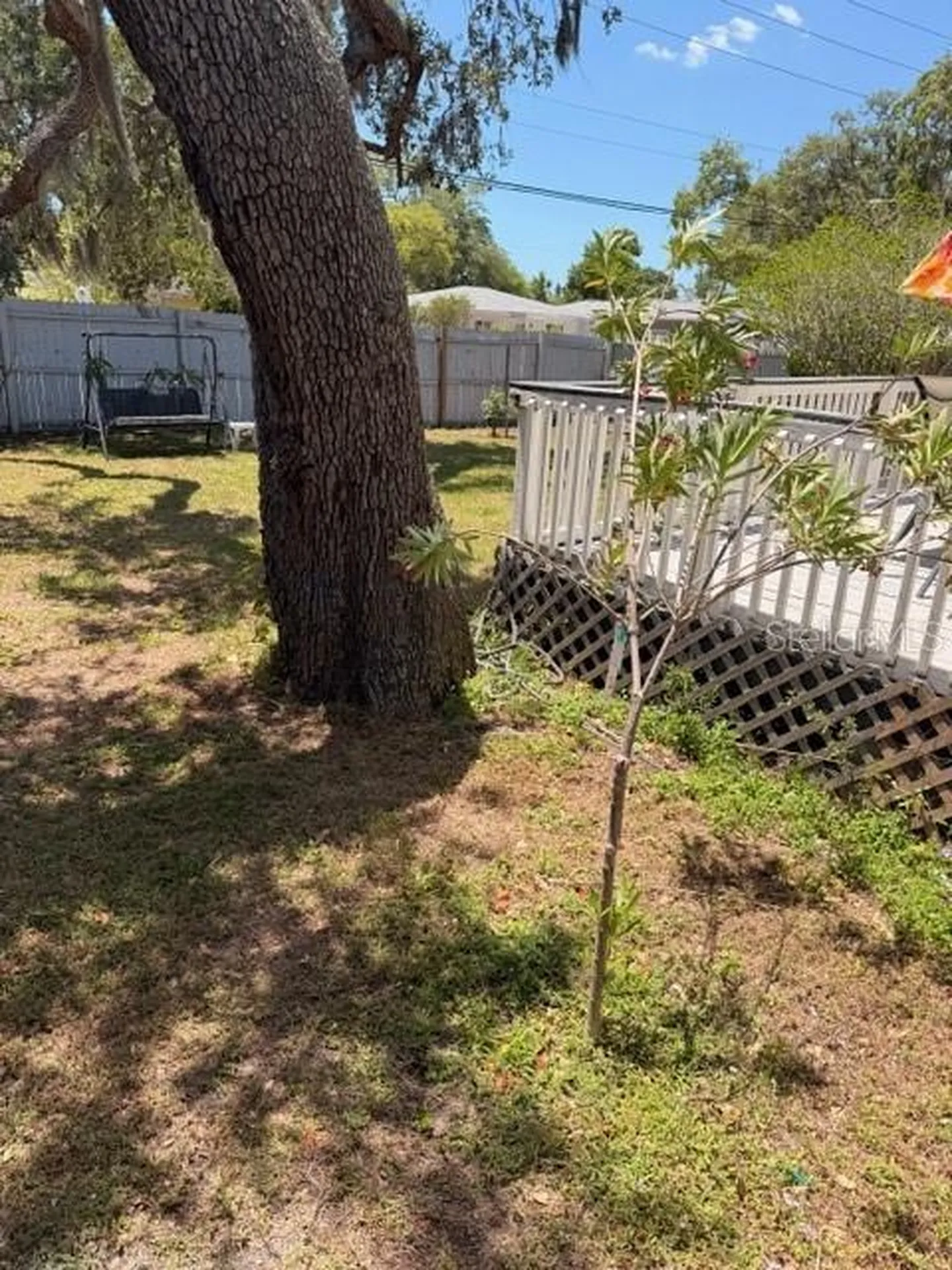 519 Norfolk Street Dunedin FL 34698