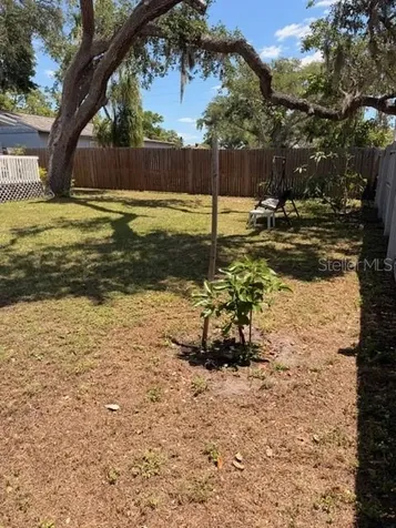 519 Norfolk Street Dunedin FL 34698