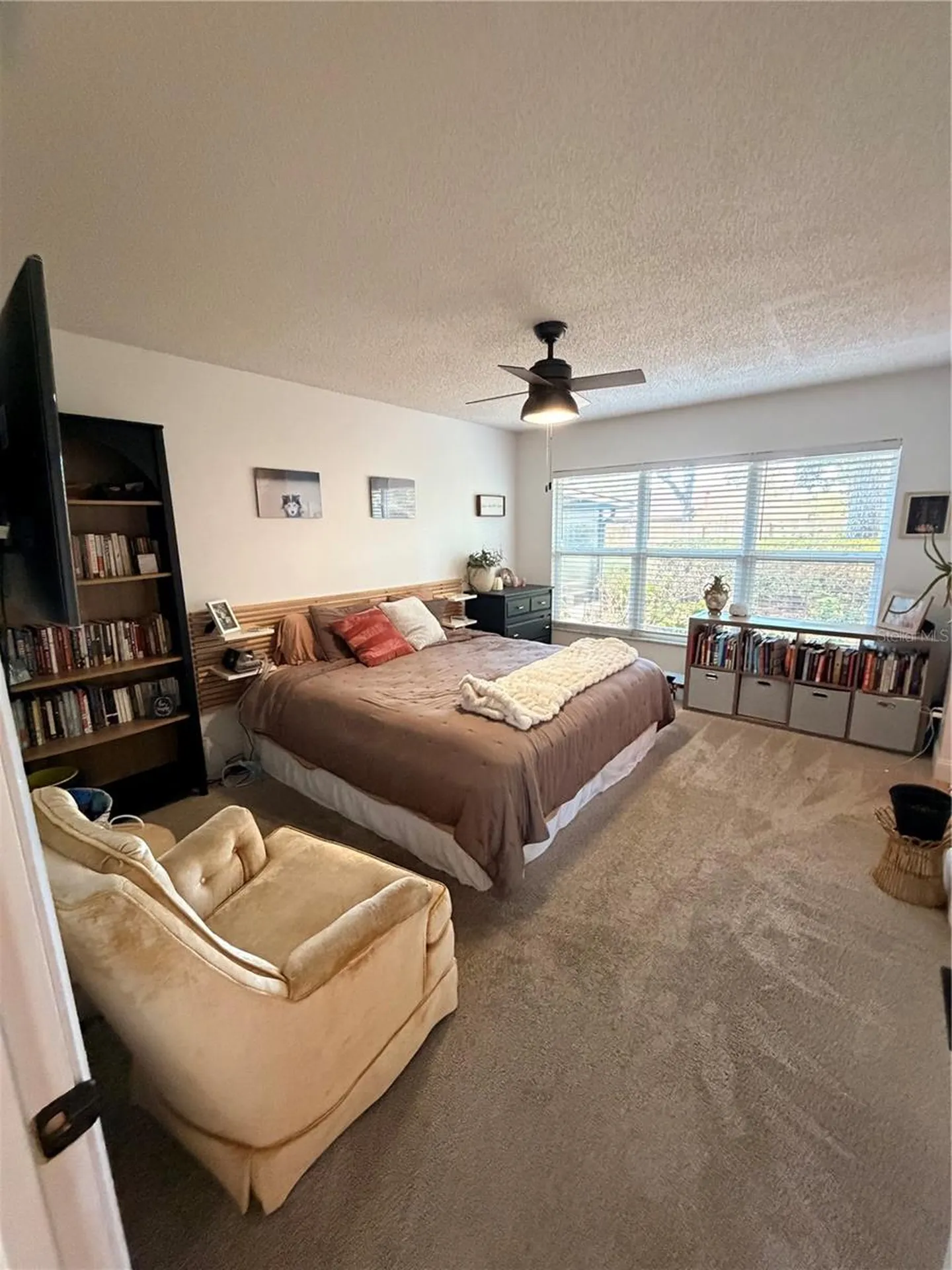 9504 Cannon Drive Orlando FL 32817