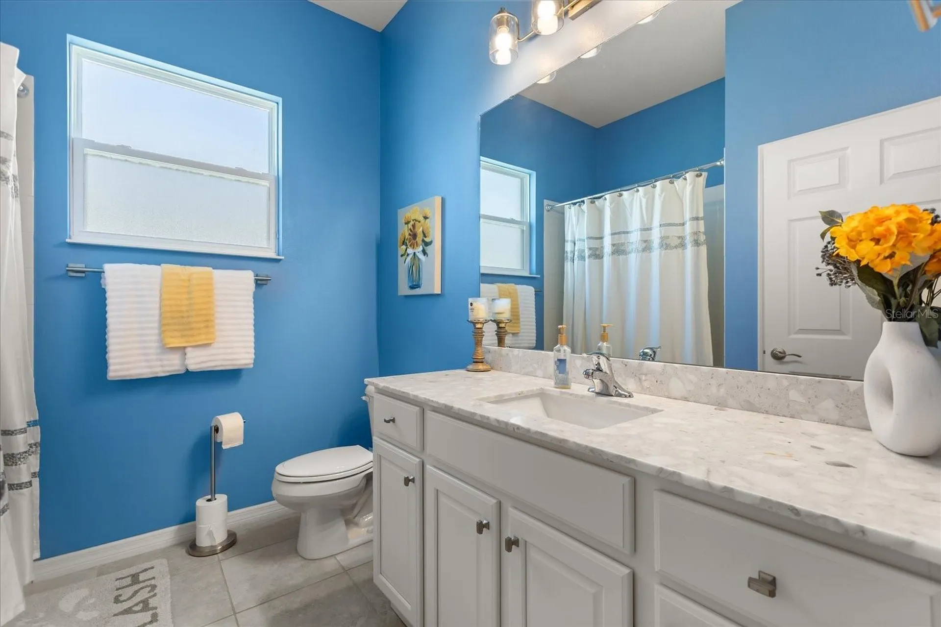 2472 Pawtucket Pass Mount Dora FL 32757