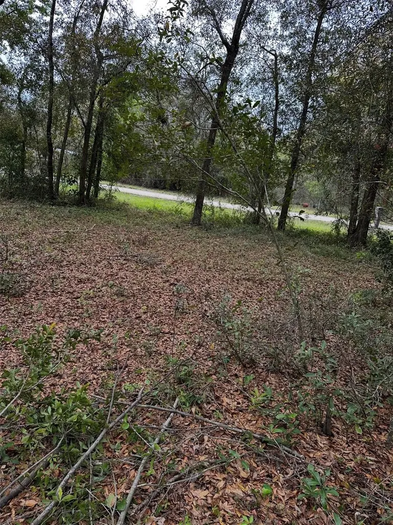 10871 NE 106th Court Archer FL 32618