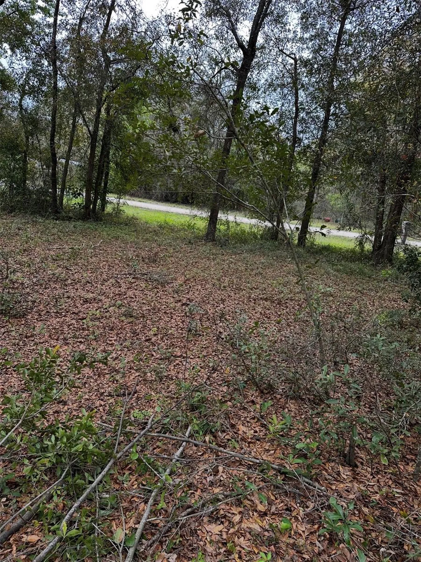 10871 NE 106th Court Archer FL 32618