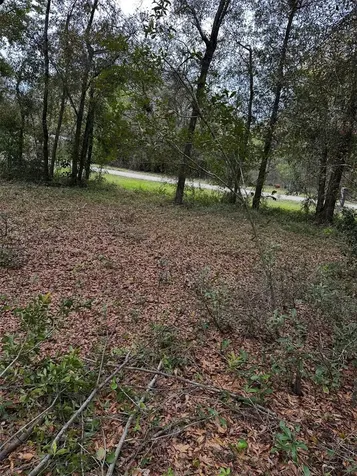 10871 NE 106th Court Archer FL 32618