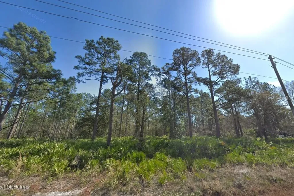 10610 Yeager Avenue Hastings FL 32145