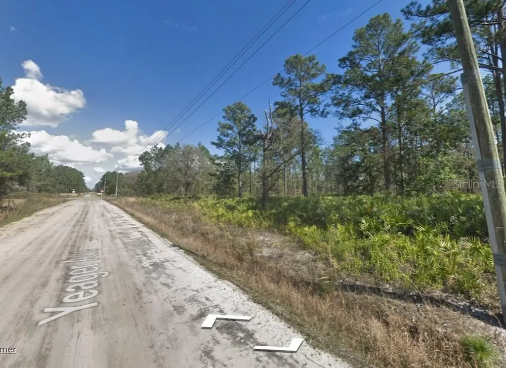 10610 Yeager Avenue Hastings FL 32145