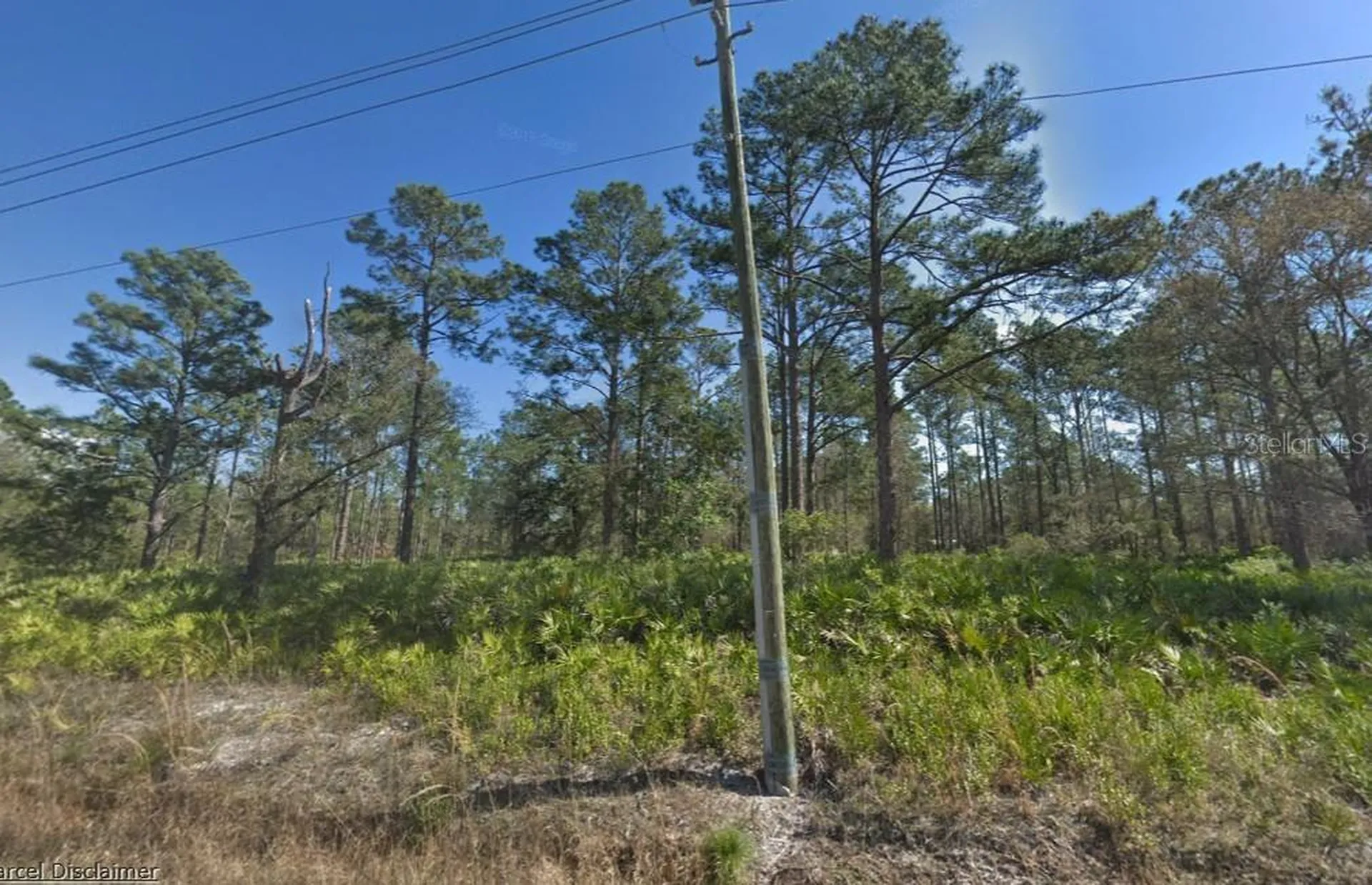 10610 Yeager Avenue Hastings FL 32145