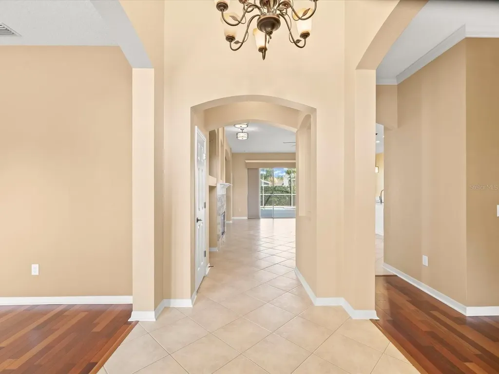 8843 Torchwood Drive Trinity FL 34655