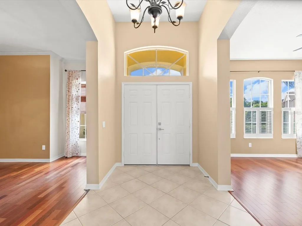 8843 Torchwood Drive Trinity FL 34655