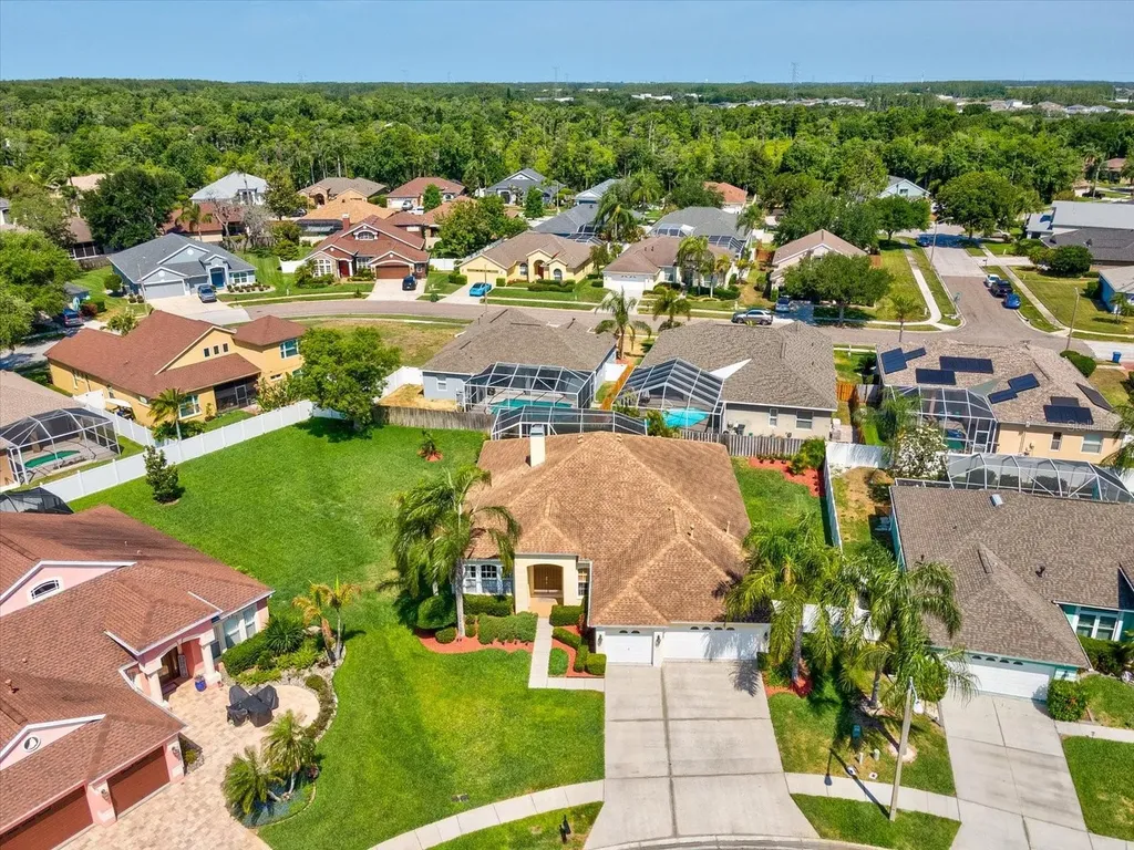 8843 Torchwood Drive Trinity FL 34655