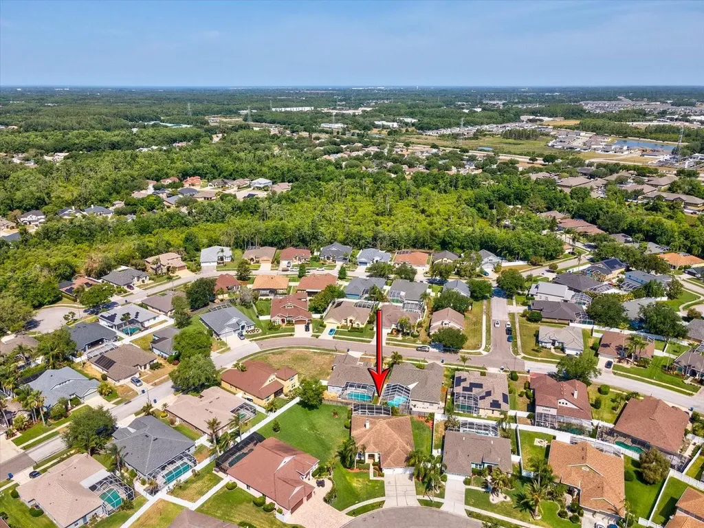 8843 Torchwood Drive Trinity FL 34655