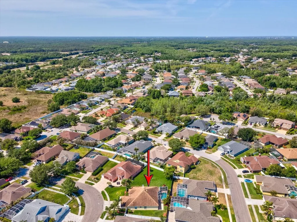 8843 Torchwood Drive Trinity FL 34655