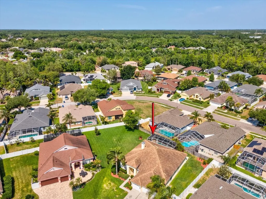 8843 Torchwood Drive Trinity FL 34655