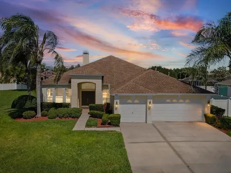 8843 Torchwood Drive Trinity FL 34655