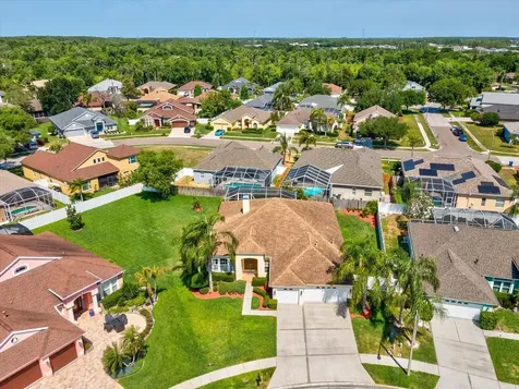 8843 Torchwood Drive Trinity FL 34655