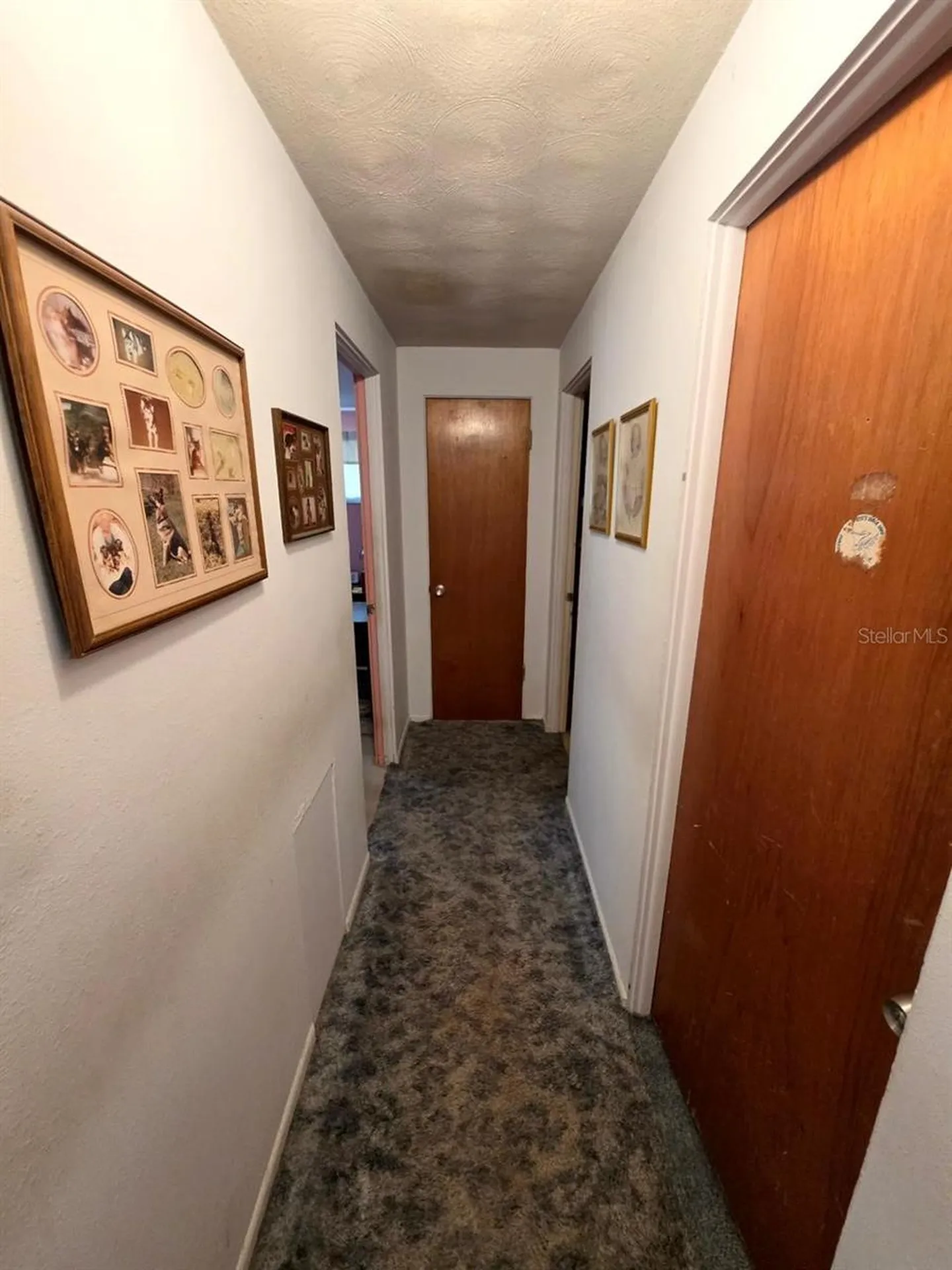 8700 58th Street N Pinellas Park FL 33782