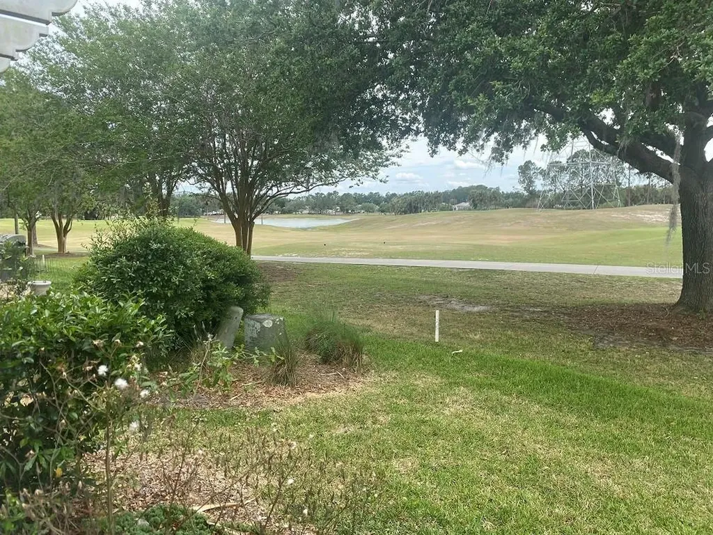 2204 Margarita Drive The Villages FL 32159