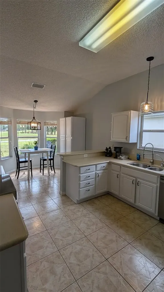 2204 Margarita Drive The Villages FL 32159