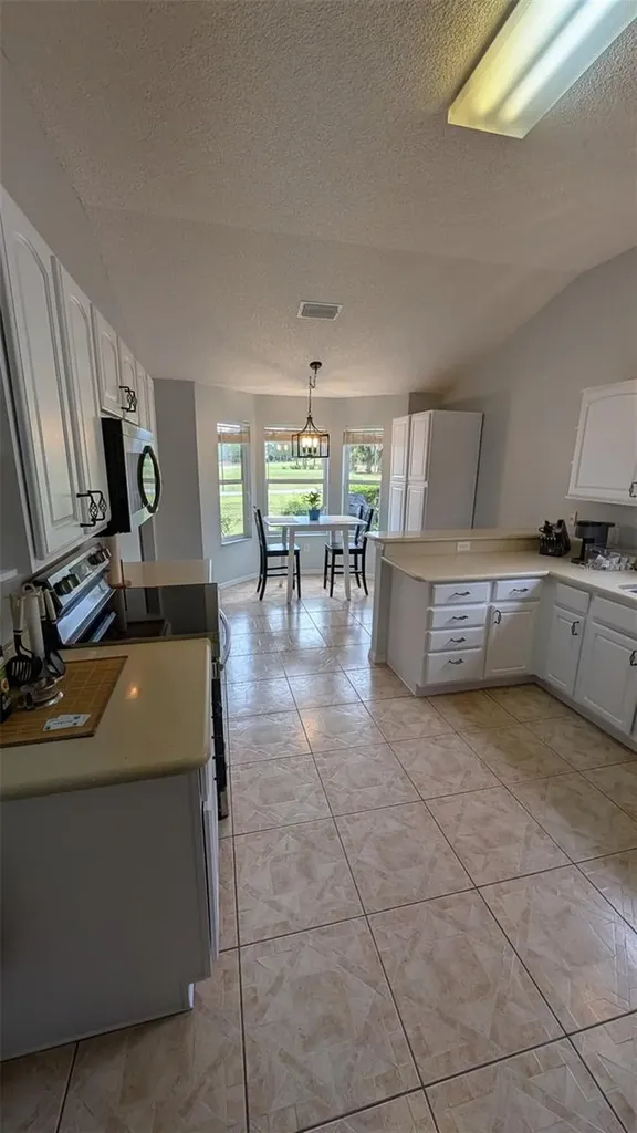 2204 Margarita Drive The Villages FL 32159