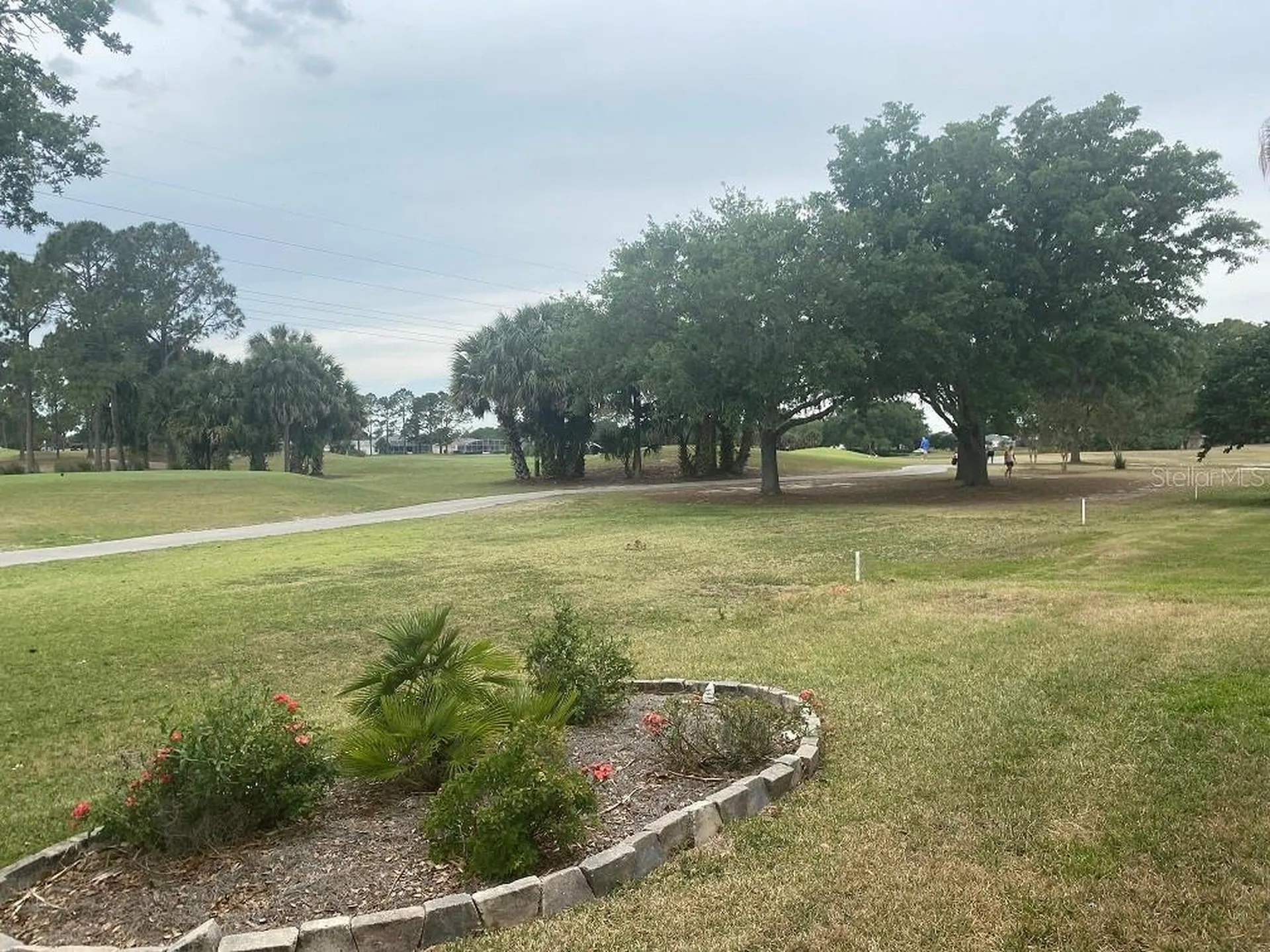 2204 Margarita Drive The Villages FL 32159