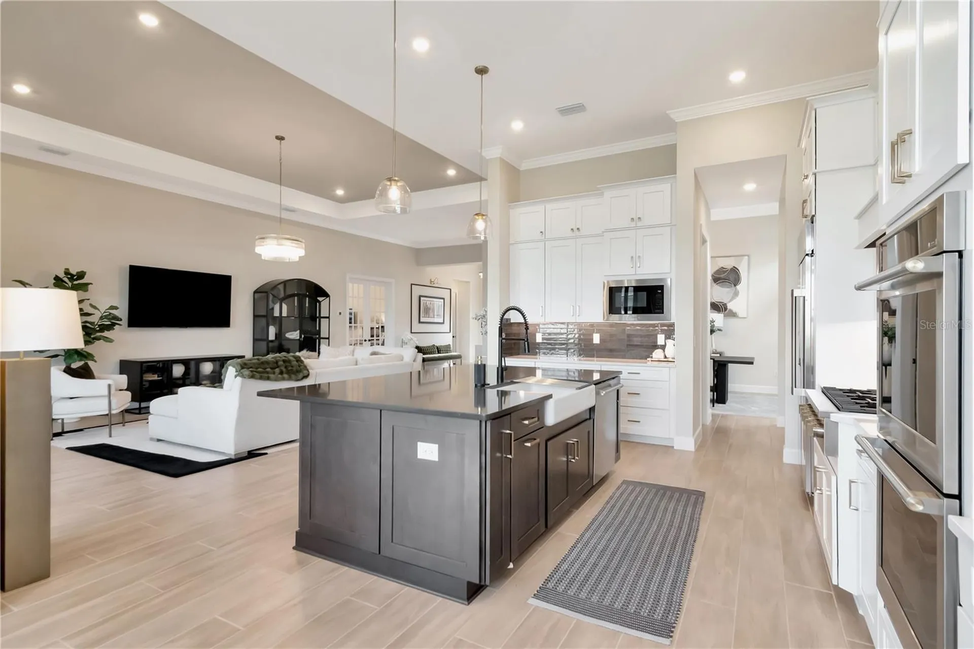 33773 Ocean Spray Lane Wesley Chapel FL 33543