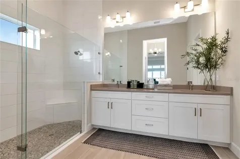 33773 Ocean Spray Lane Wesley Chapel FL 33543