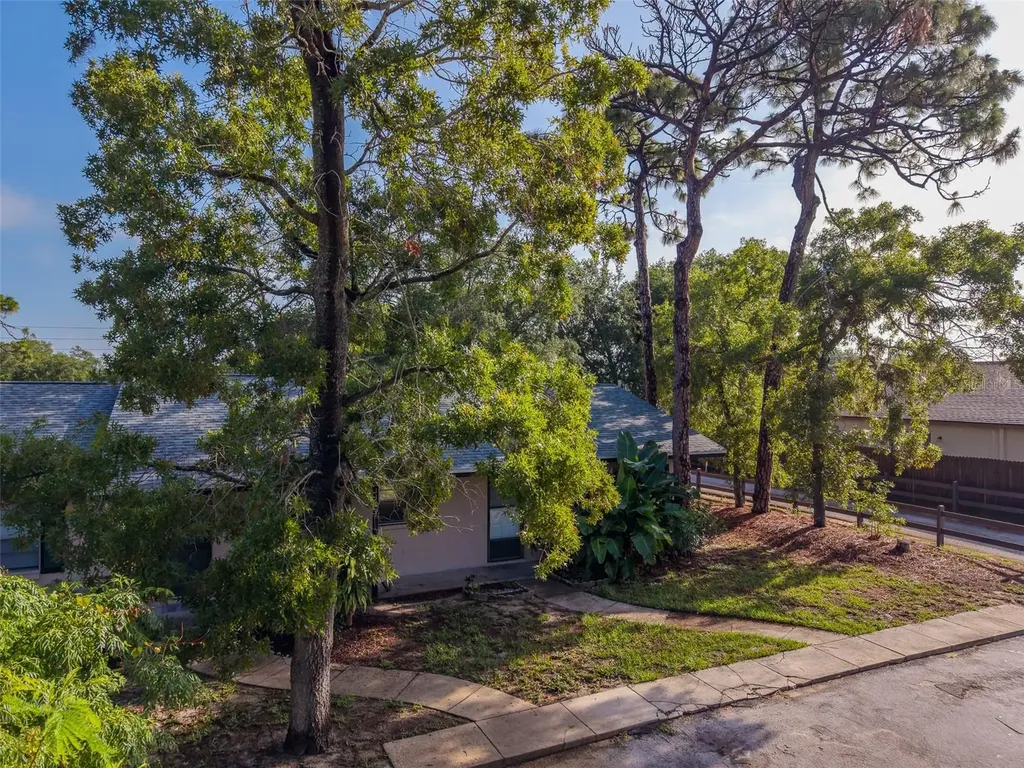 1109 E Rohe Street Tarpon Springs FL 34689