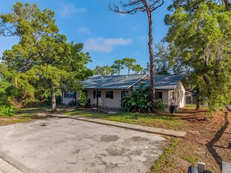 1109 E Rohe Street Tarpon Springs FL 34689