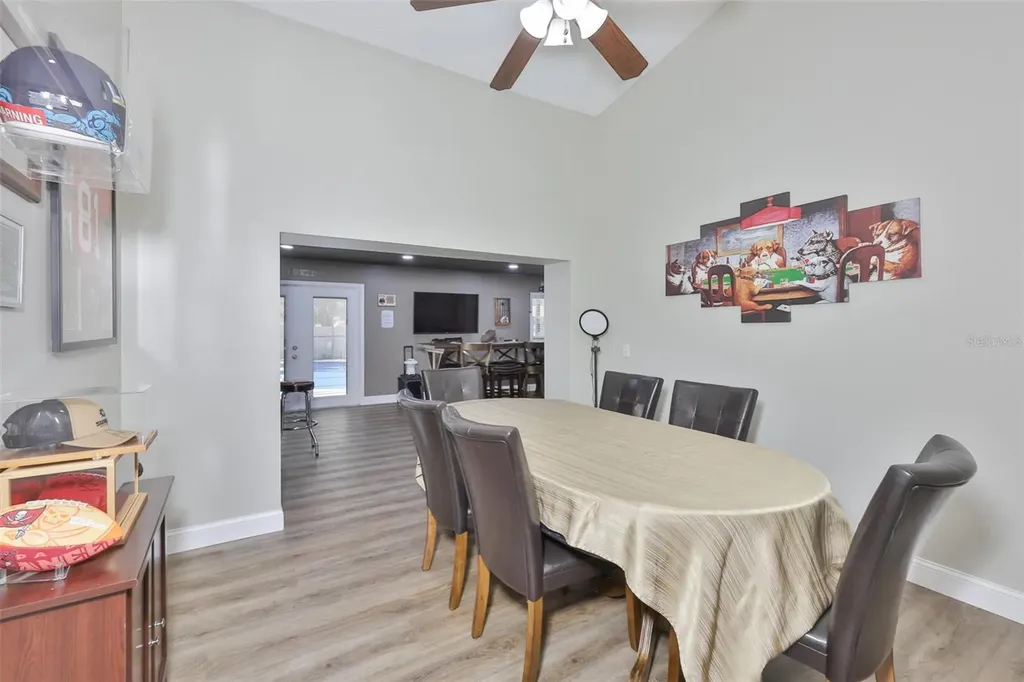 3931 Appletree Drive Valrico FL 33594