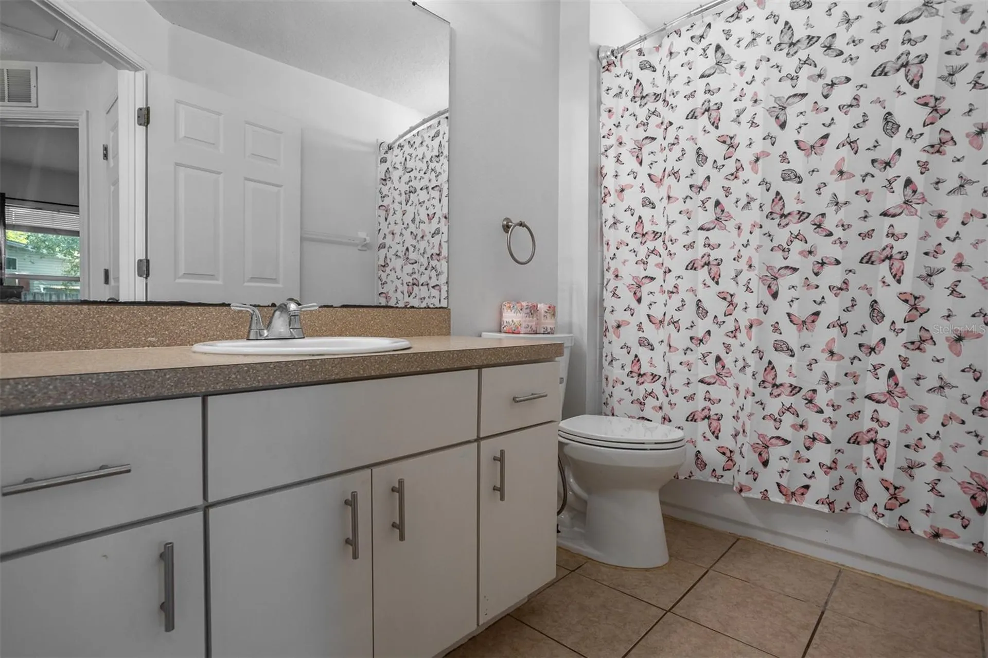 10401 Lakeside Vista Drive Riverview FL 33569