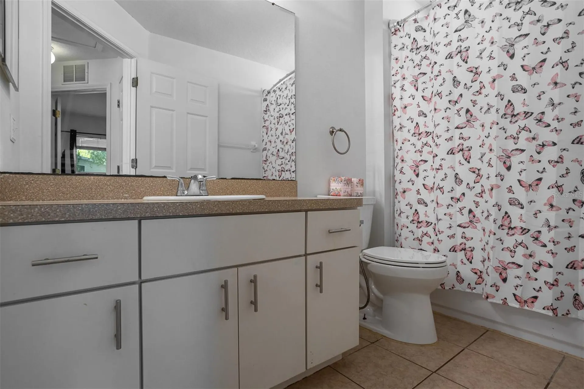 10401 Lakeside Vista Drive Riverview FL 33569