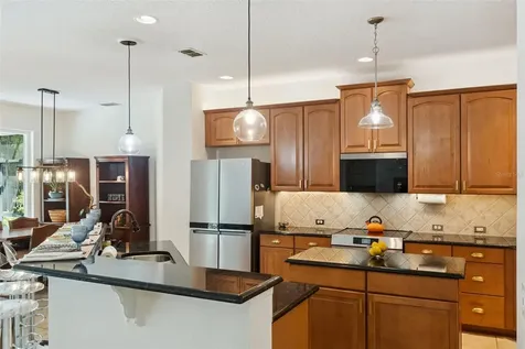 505 E Gulley Avenue Oakland FL 34787